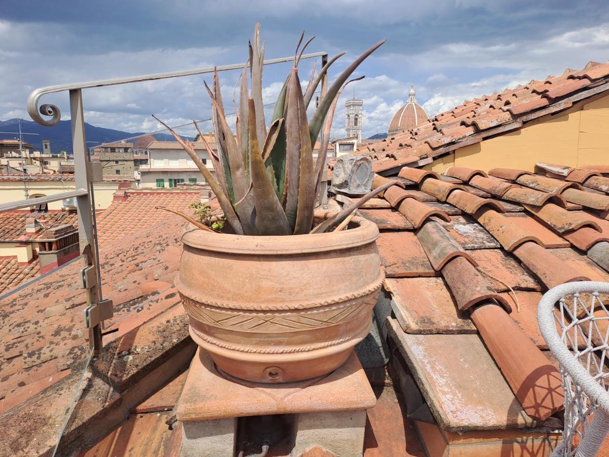 Penthouse View Appartamento *